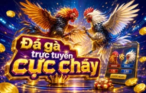 Sảnh Đá Gà seasonofbliss